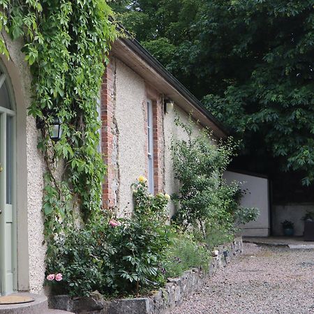 Cootehill Millvale Cottage מראה חיצוני תמונה